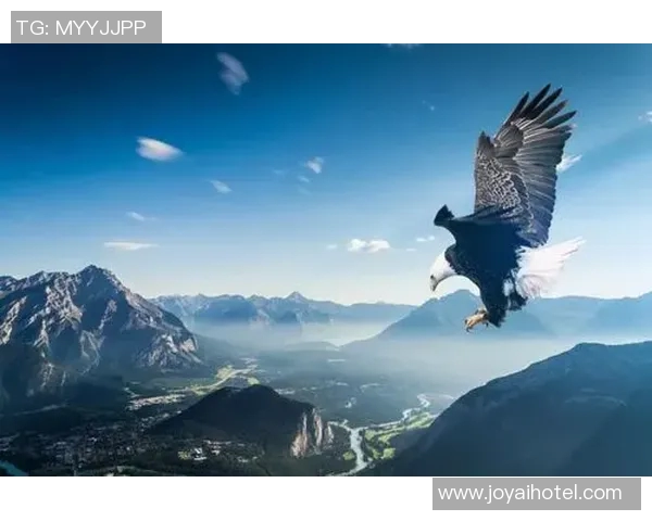 齐麟的崛起与挑战：探索年轻球员在职业篮球中的奋斗与成长之路